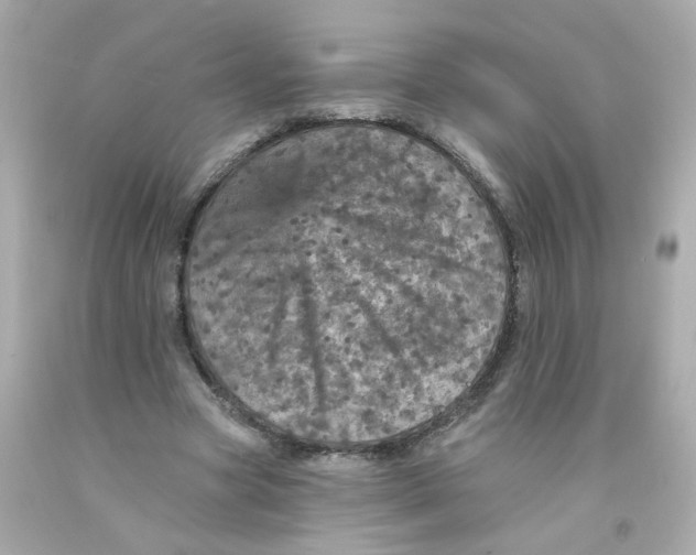 X0000093130537200710241324