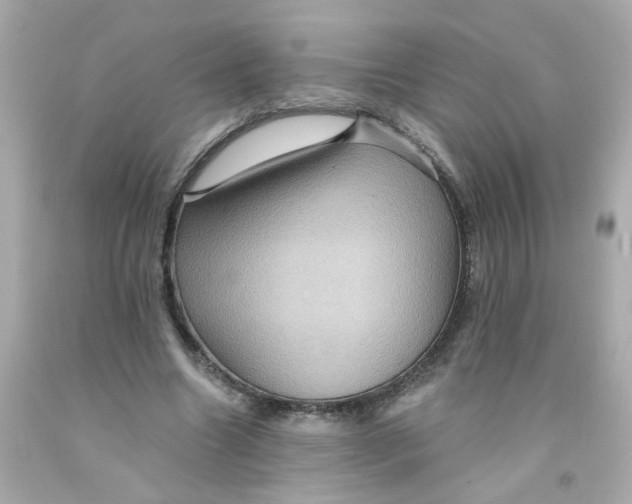 X0000093130538200710241324