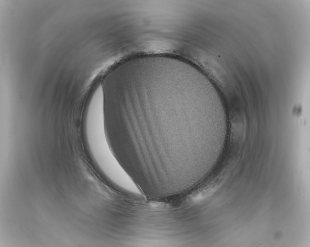X0000093130539200710241324