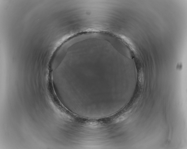 X0000093130540200710241324