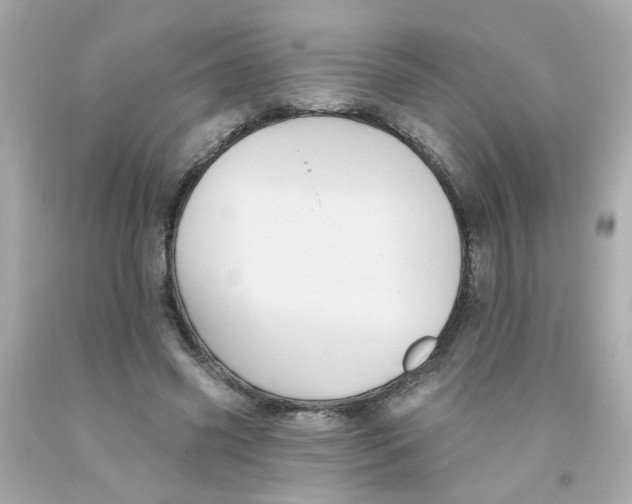 X0000093130541200710241324