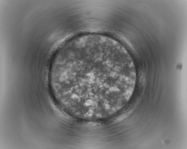 X0000093130542200710241324