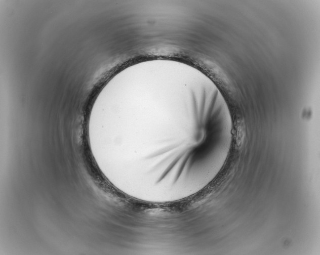 X0000093130544200710241324