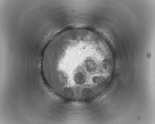 X0000093130545200710241324