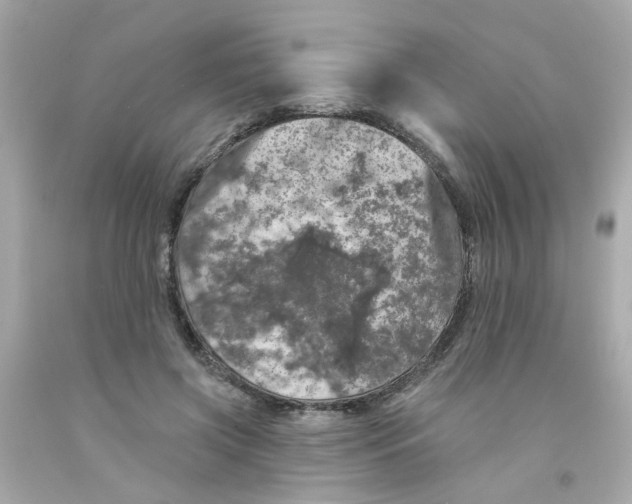 X0000093130549200710241324