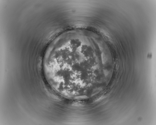 X0000093130550200710241324