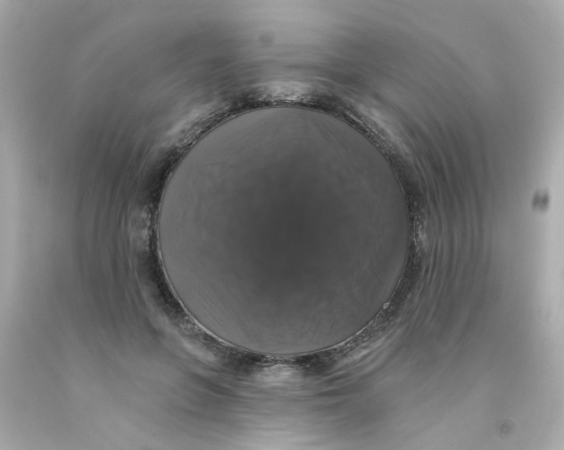 X0000093130551200710241324