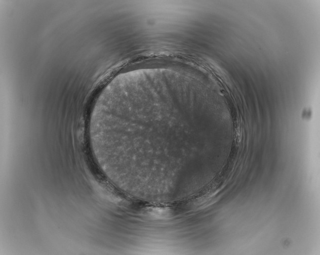 X0000093130552200710241324