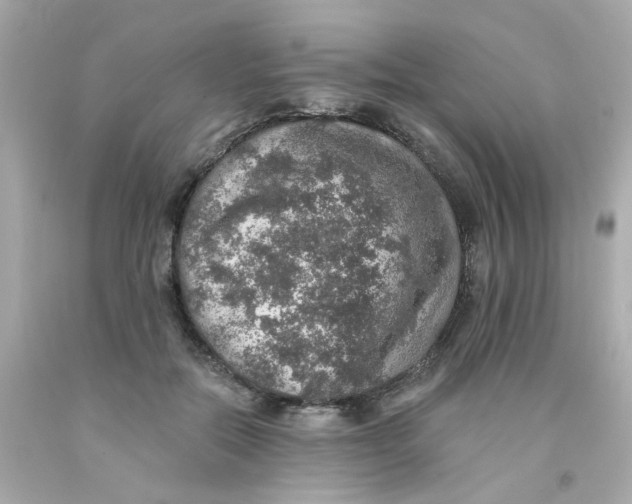 X0000093130554200710241324