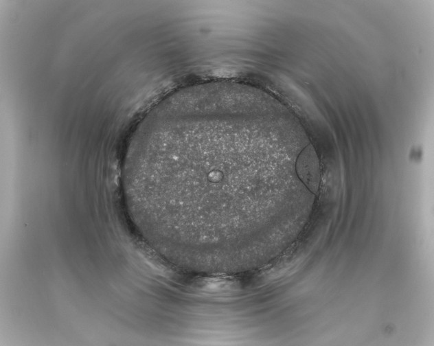 X0000093130555200710241324