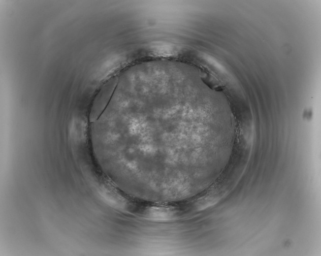 X0000093130556200710241325