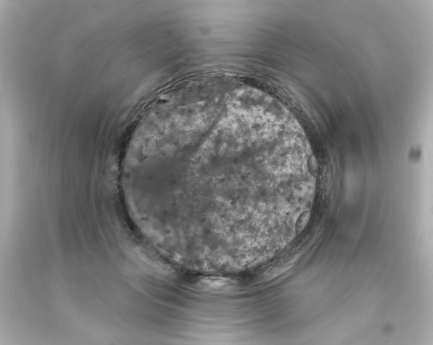 X0000093130557200710241325