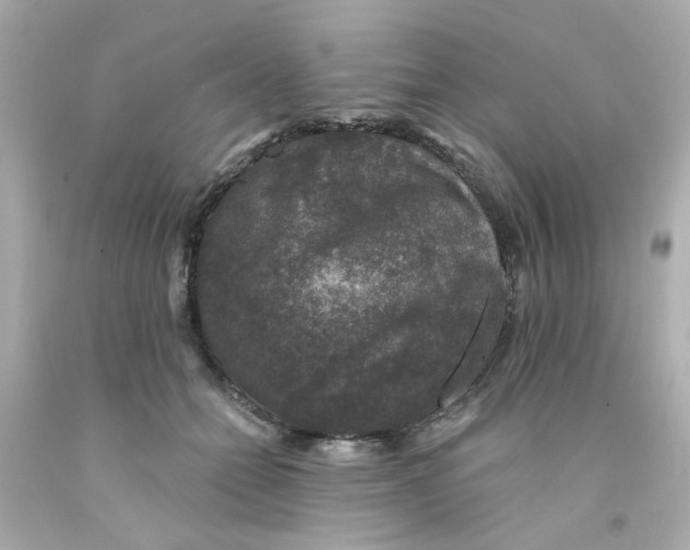 X0000093130558200710241325