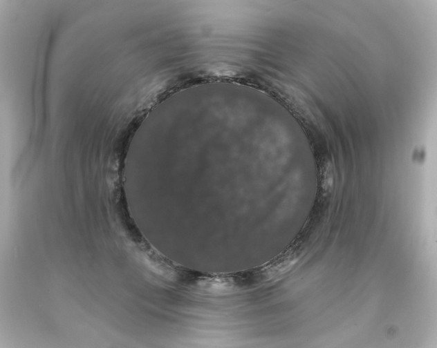 X0000093130559200710241325