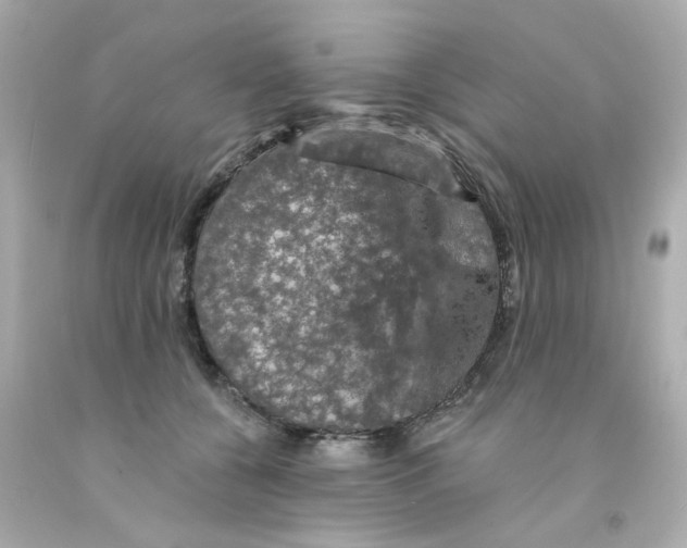 X0000093130560200710241325