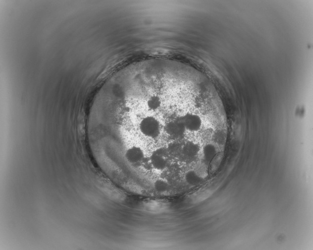 X0000093130561200710241325