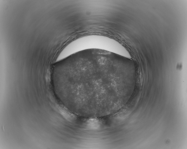 X0000093130562200710241325