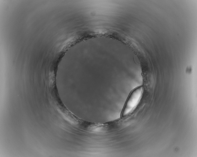 X0000093130563200710241325