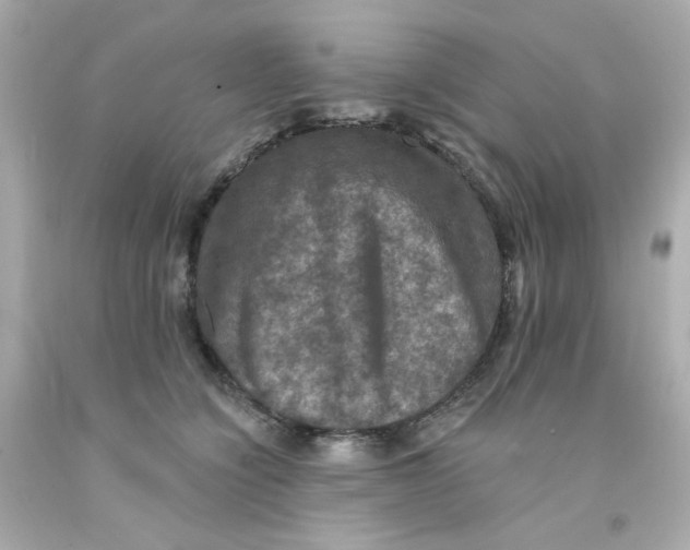 X0000093130564200710241325