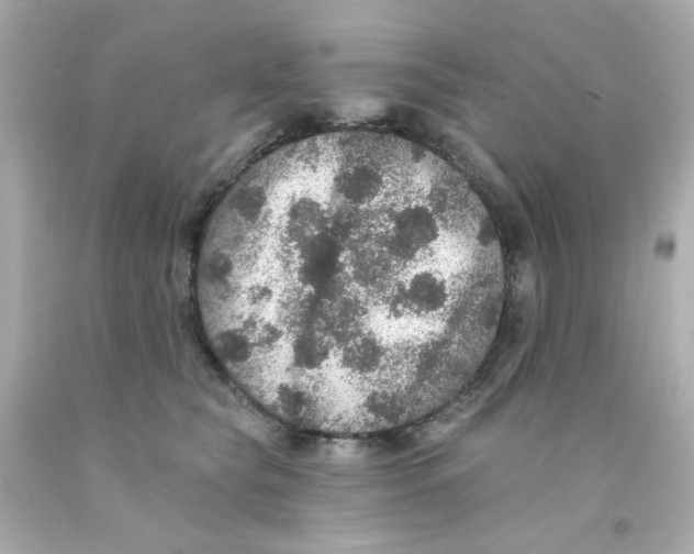 X0000093130565200710241325