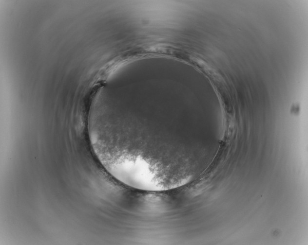 X0000093130566200710241325