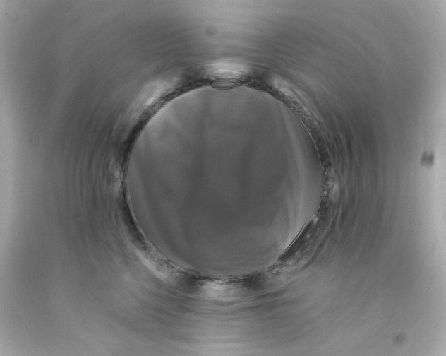 X0000093130568200710241325