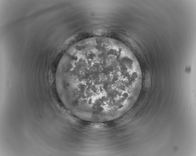X0000093130569200710241325