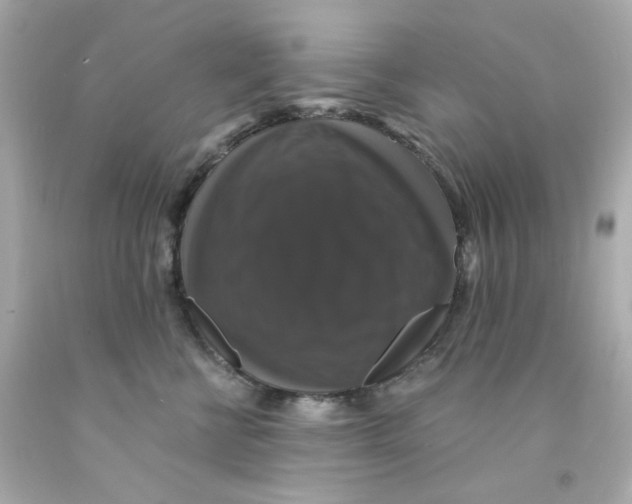 X0000093130570200710241325
