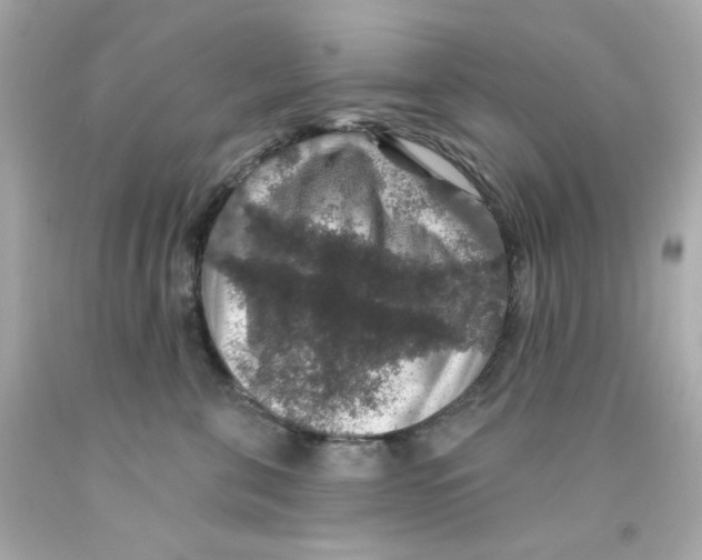 X0000093130571200710241325