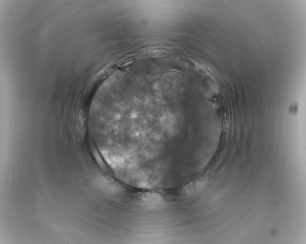 X0000093130572200710241325