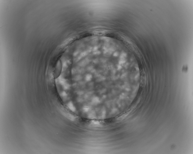 X0000093130573200710241325