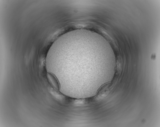 X0000093130574200710241325