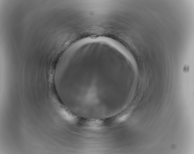 X0000093130576200710241325