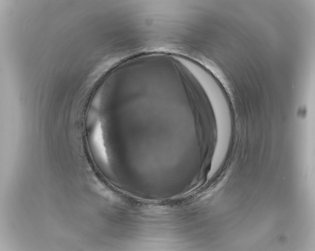 X0000093130577200710241324