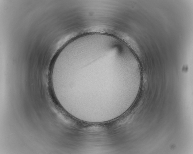 X0000093130578200710241324