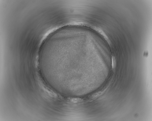 X0000093130579200710241324