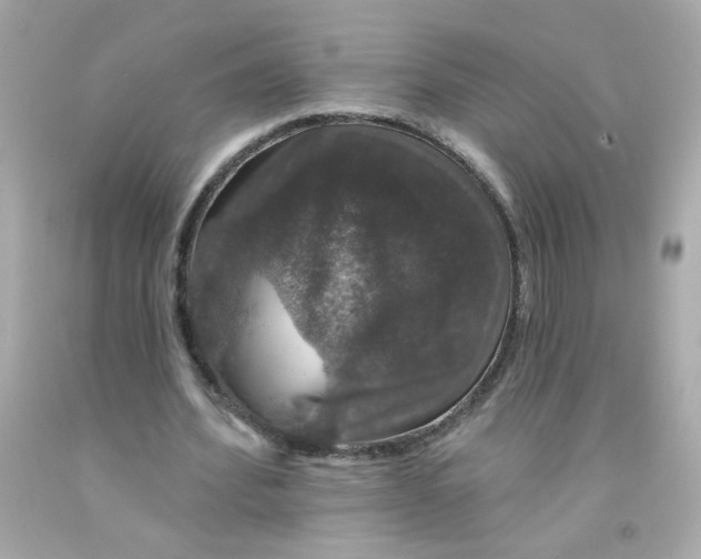 X0000093130580200710241324