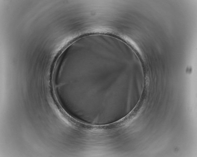 X0000093130581200710241324