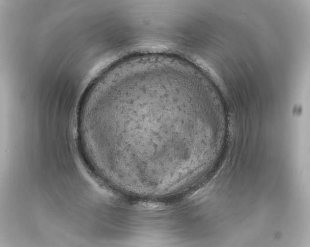 X0000093130582200710241324