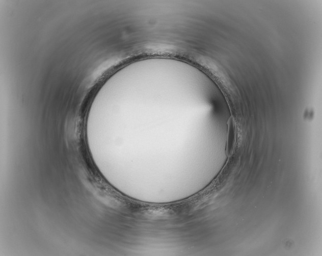 X0000093130583200710241324