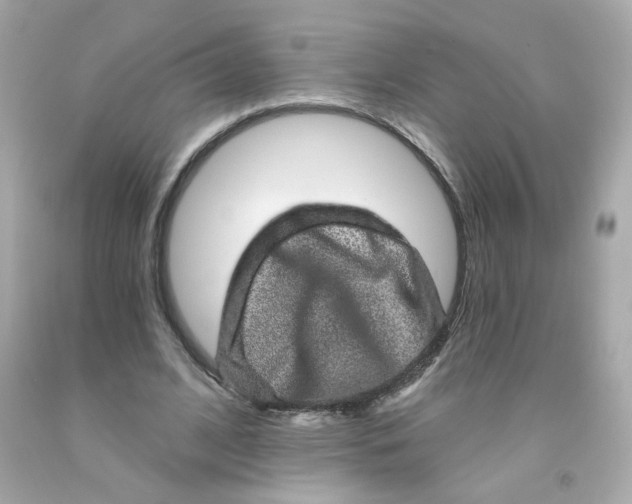 X0000093130584200710241324