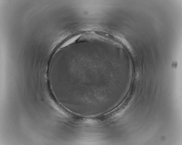 X0000093130585200710241324