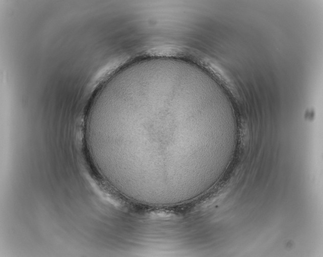 X0000093130586200710241324