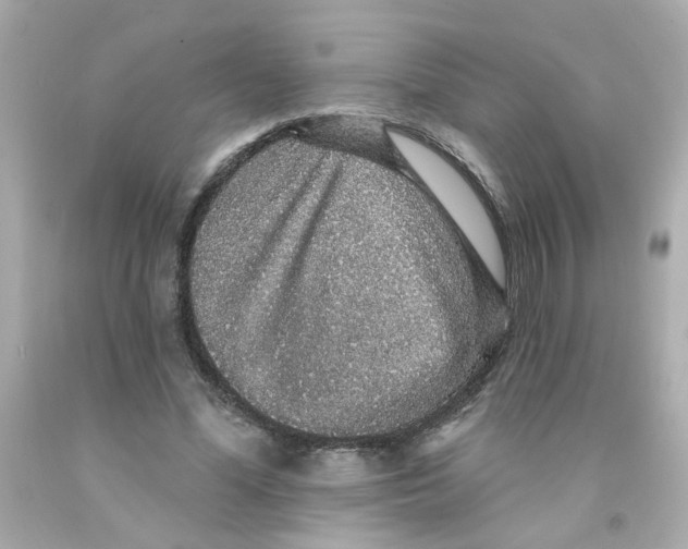 X0000093130588200710241324