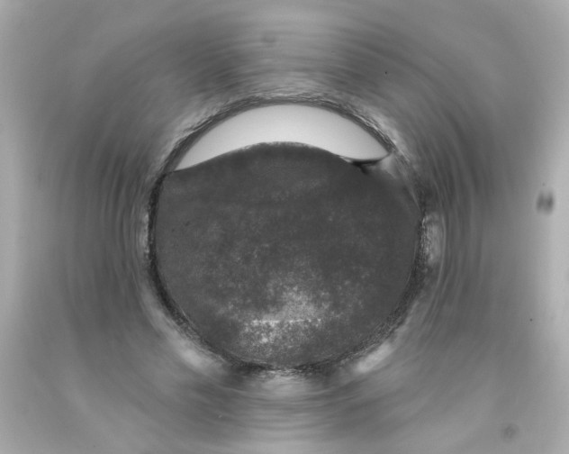 X0000093130589200710241324