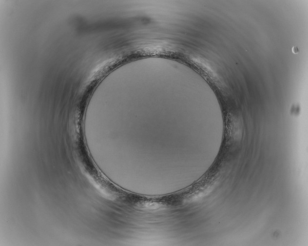 X0000093130590200710241324