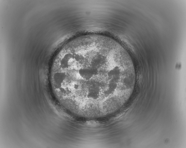 X0000093130591200710241324
