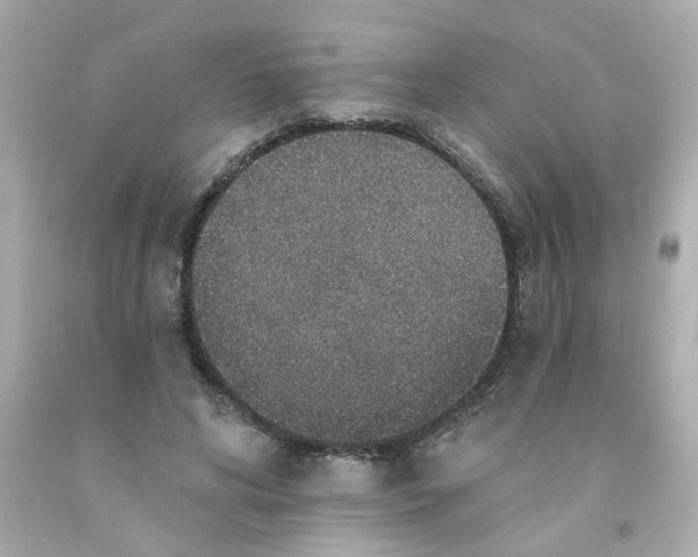 X0000093130592200710241324