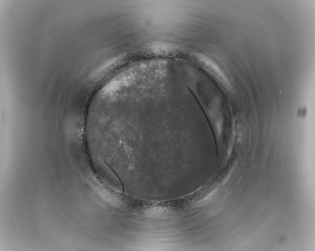 X0000093130593200710241324