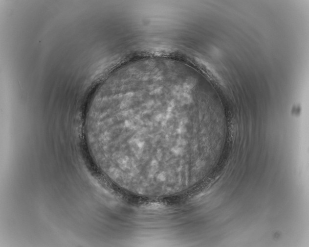 X0000093130594200710241324